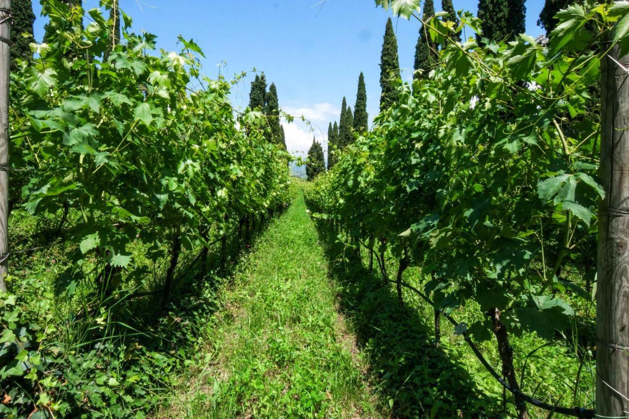 Villa Betteloni Valpolicella Suites San Pietro in Cariano Eksteriør billede